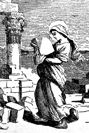 Euphrasia